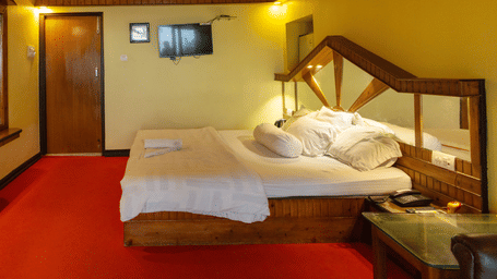 A bedroom with a king size bed, a wooden ceiling, a large mirror, a bedside table, and a wall mounted TV at Hotel Seagull Digha.